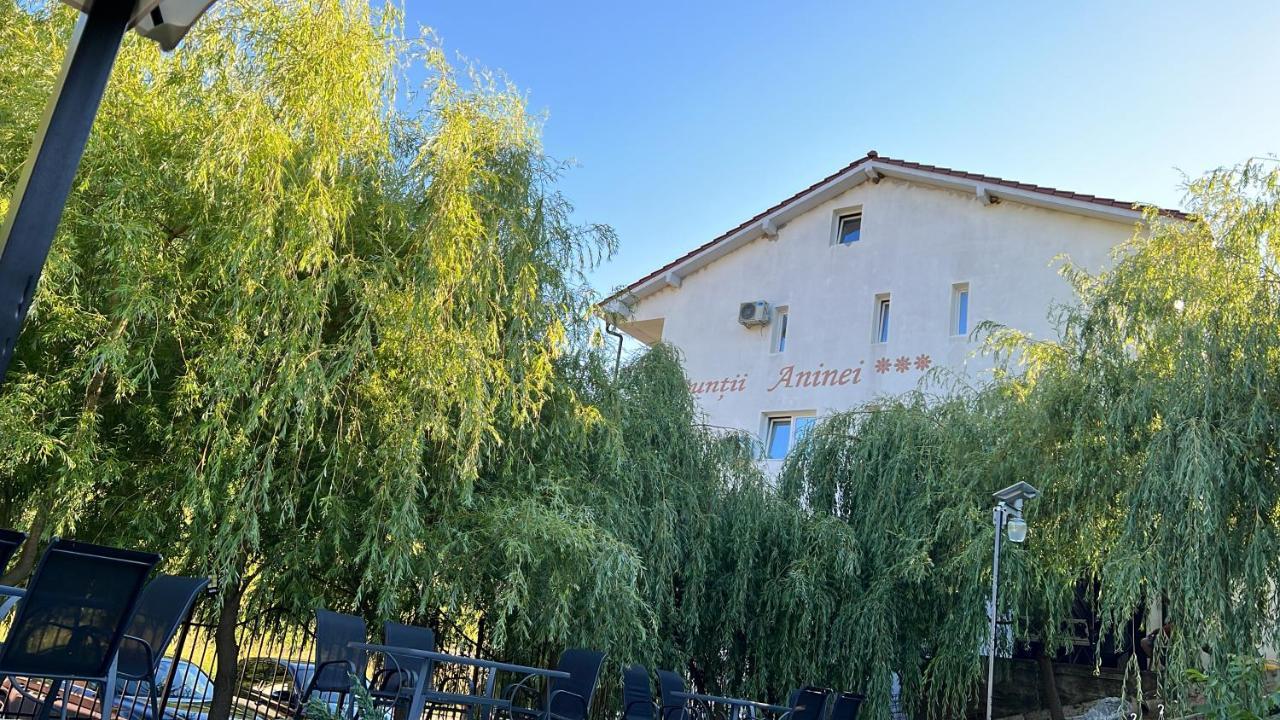 Pensiune Muntii Aninei Anina Exterior photo